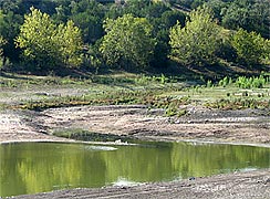 Purola Lake 2006